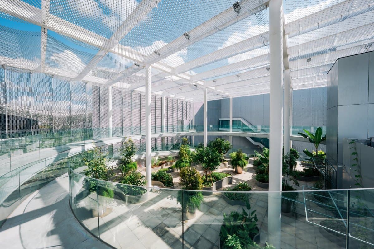 阮英俊「無界花園」於綠美圖生根　以植栽浮島串起移民記憶與多元文化共生